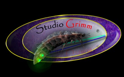 Hybride stuff & music - SasH Grimm